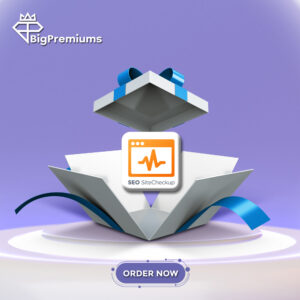 SEO-Site-Checkup
