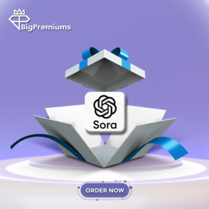 Sora