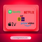 Entertainment Netflix Amazon Prime Spotify Premium Apple TV ULLU & KOOKU, Bigpremiums, Big premiums.